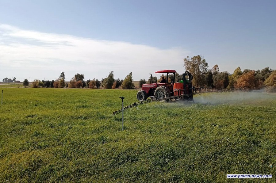 تخصيص قرابة 5 ملايين دونم لزراعة المحاصيل في الخطة الشتوية